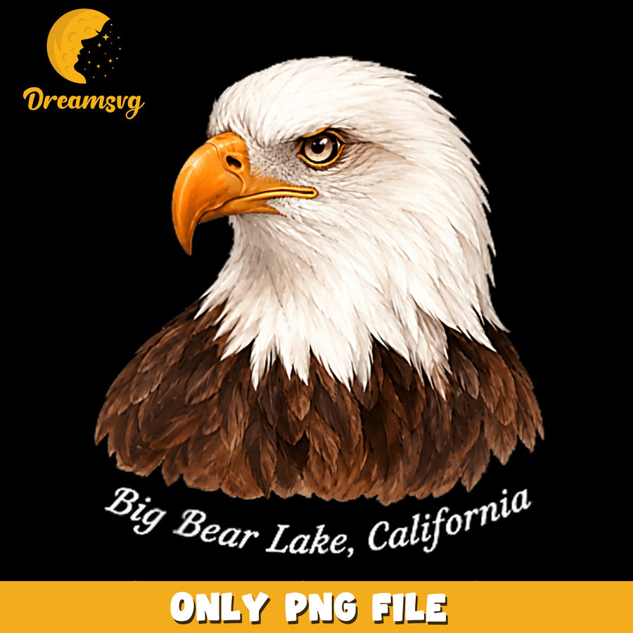 Bald Eagle Head Big Bear Lake California PNG, Wildlife, Patriotic PNG