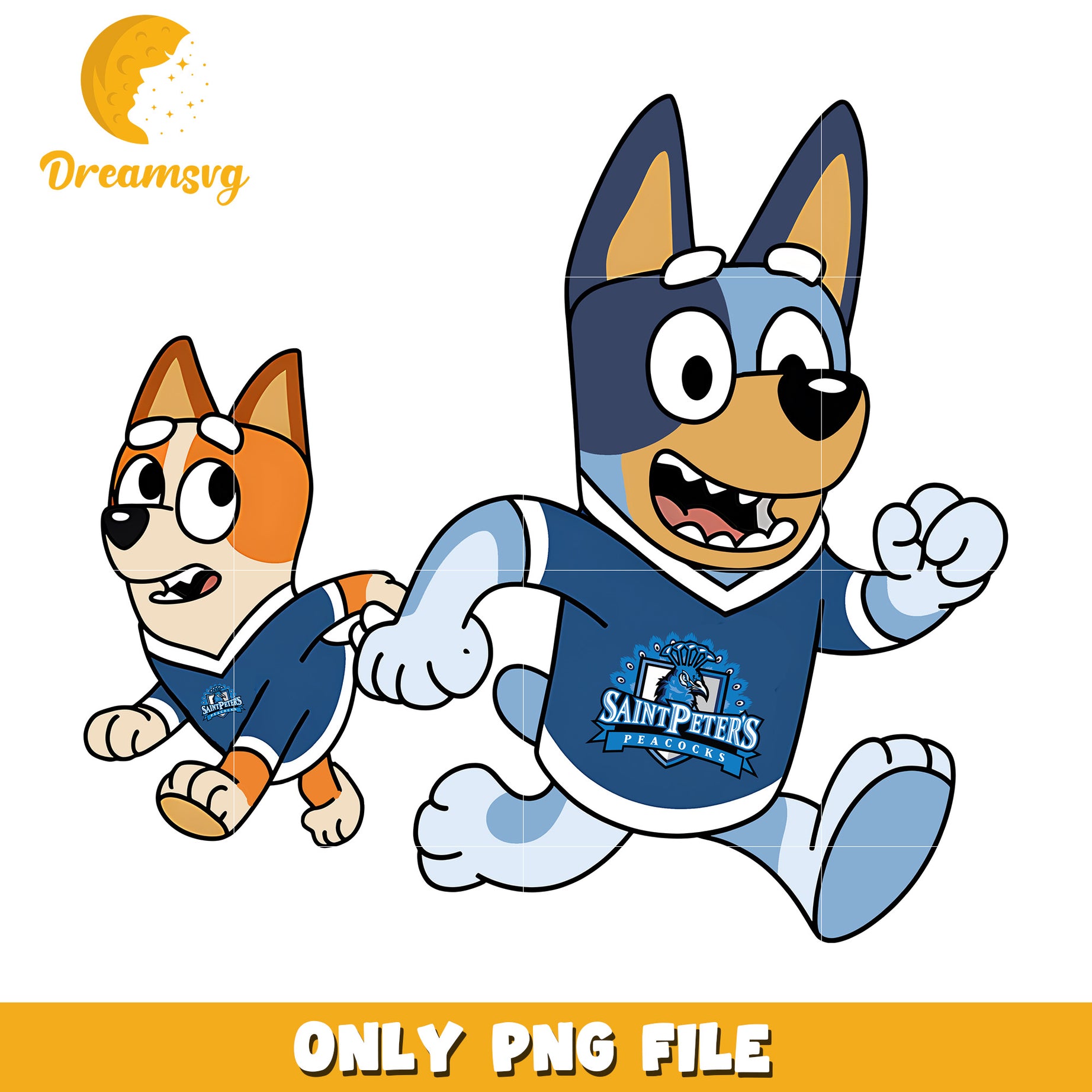 Bingo Bluey love Peacocks png, Saint Peter's Peacocks png, ncaa png