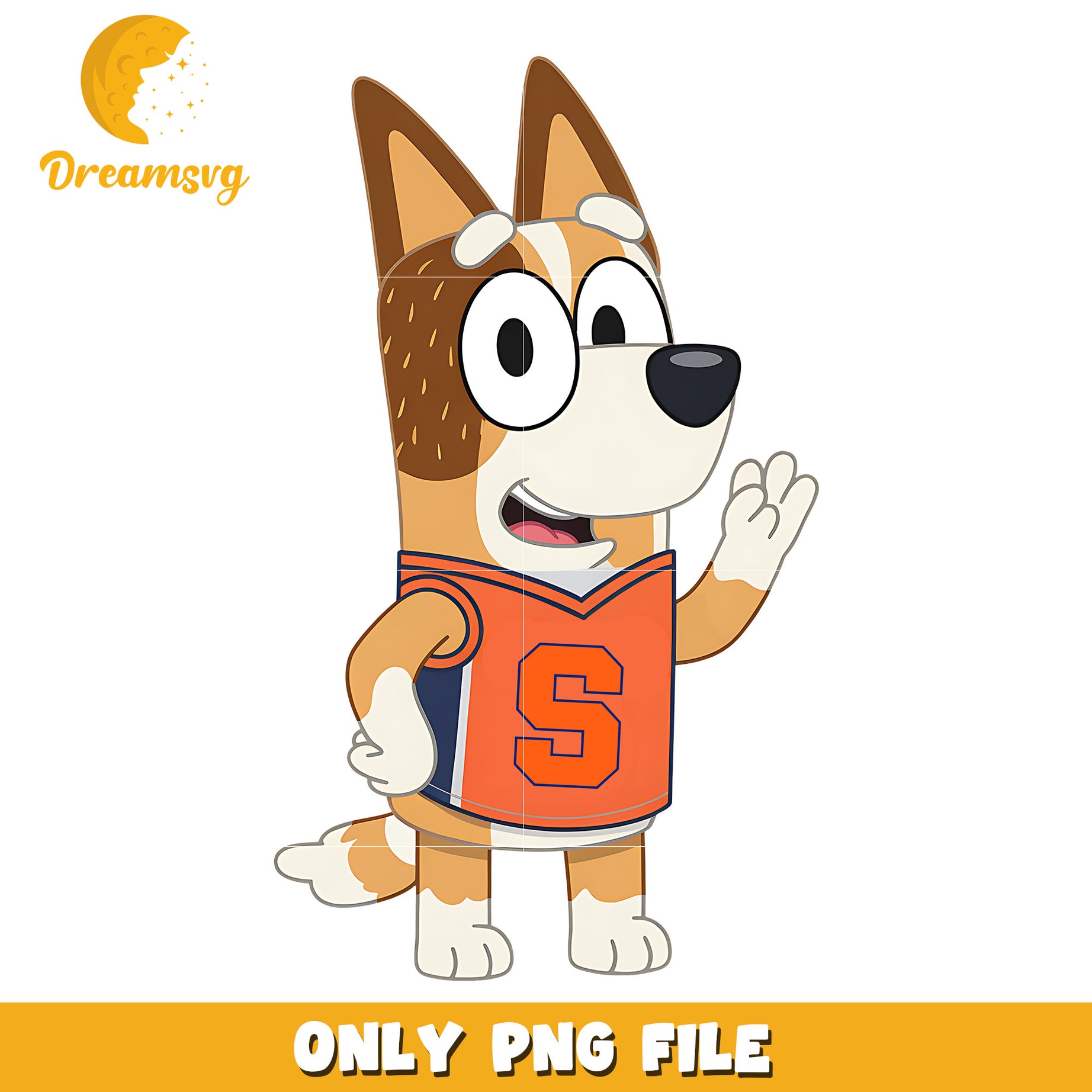 Bingo ncaa logo design png, Syracuse Orange png, ncaa png
