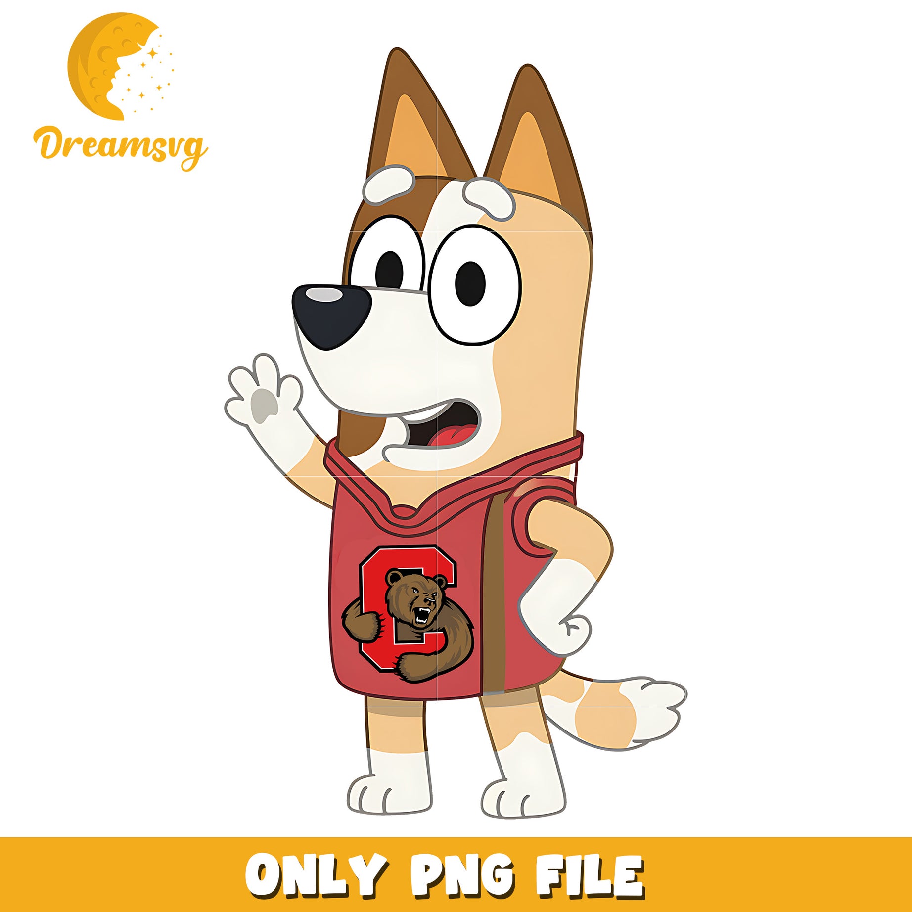 Bingo t-shirt logo ncaa png, Cornell Big Red png, ncaa png