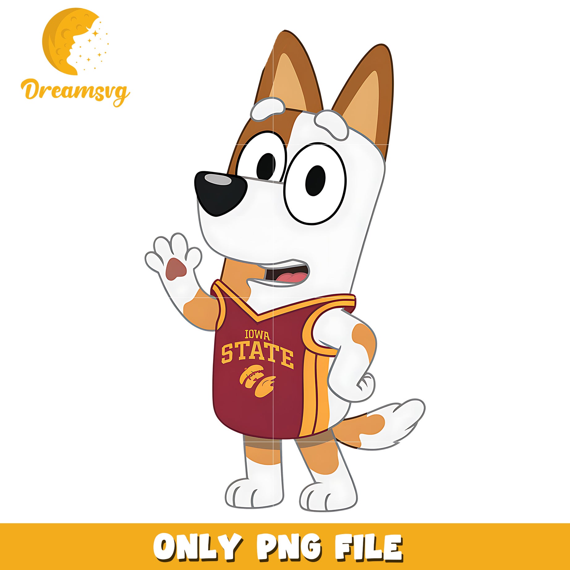 Bingo t-shirt logo ncaa png, Iowa State Cyclones png, ncaa png