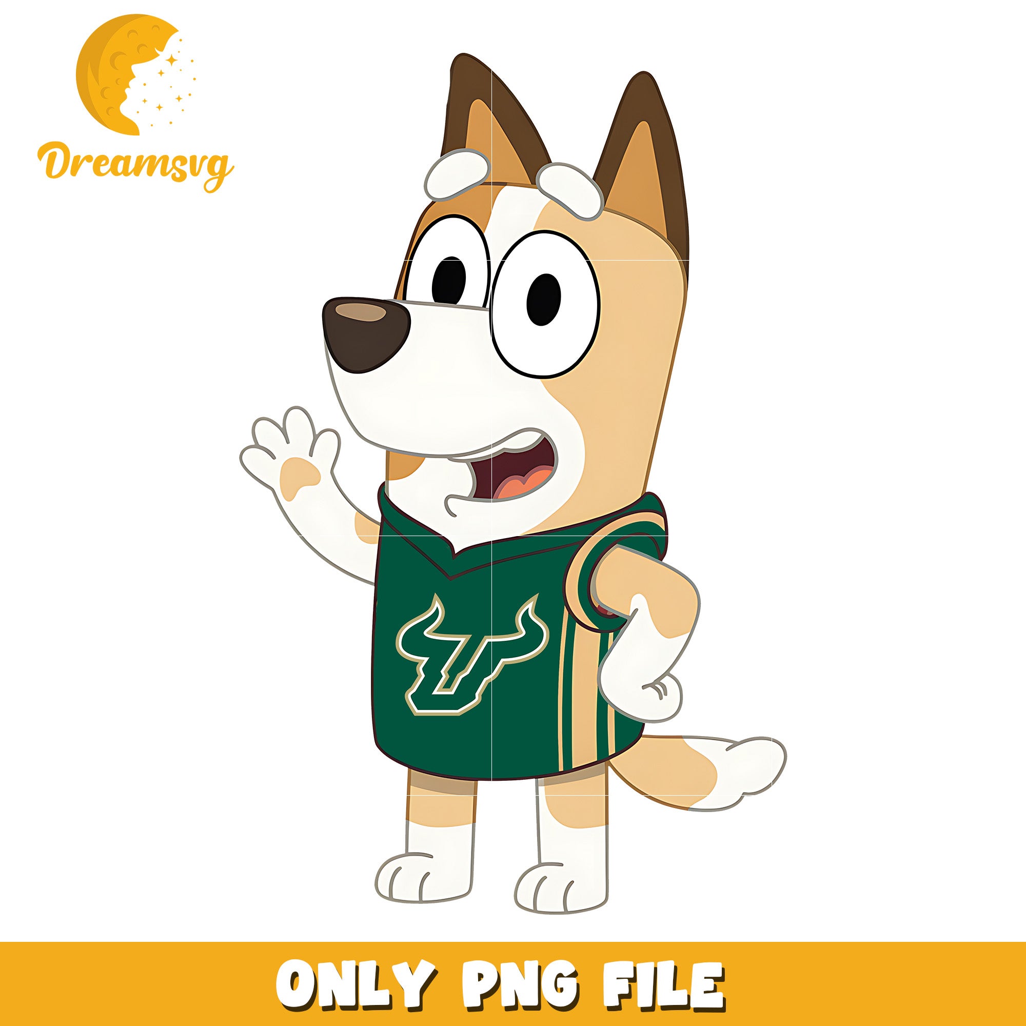 Bingo t-shirt logo ncaa png, South Florida Bulls png, ncaa png