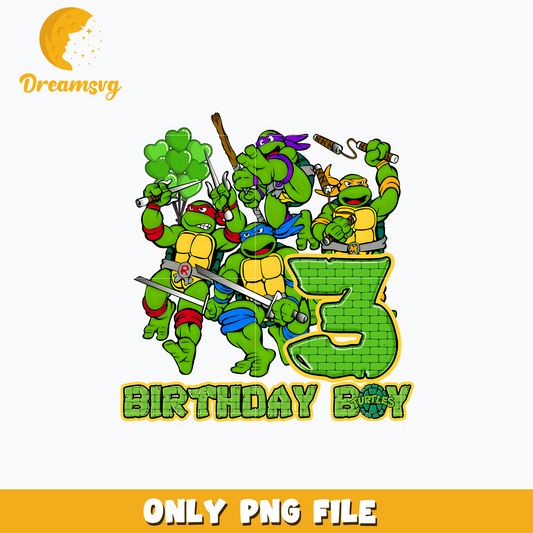 Ninja Turtles birthday boy 3 png