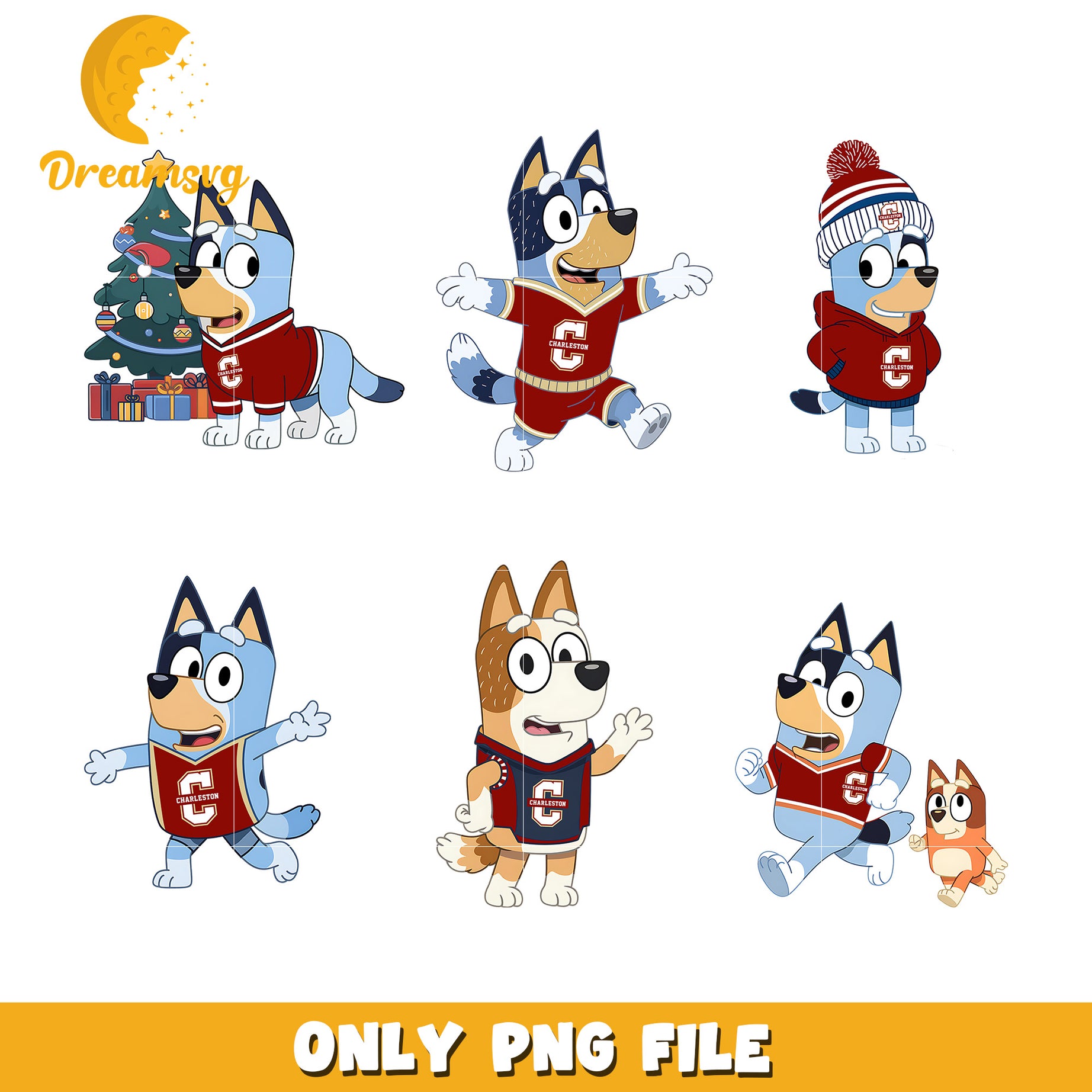 Bluey Bingo logo bundle png, College of Charleston Cougars png