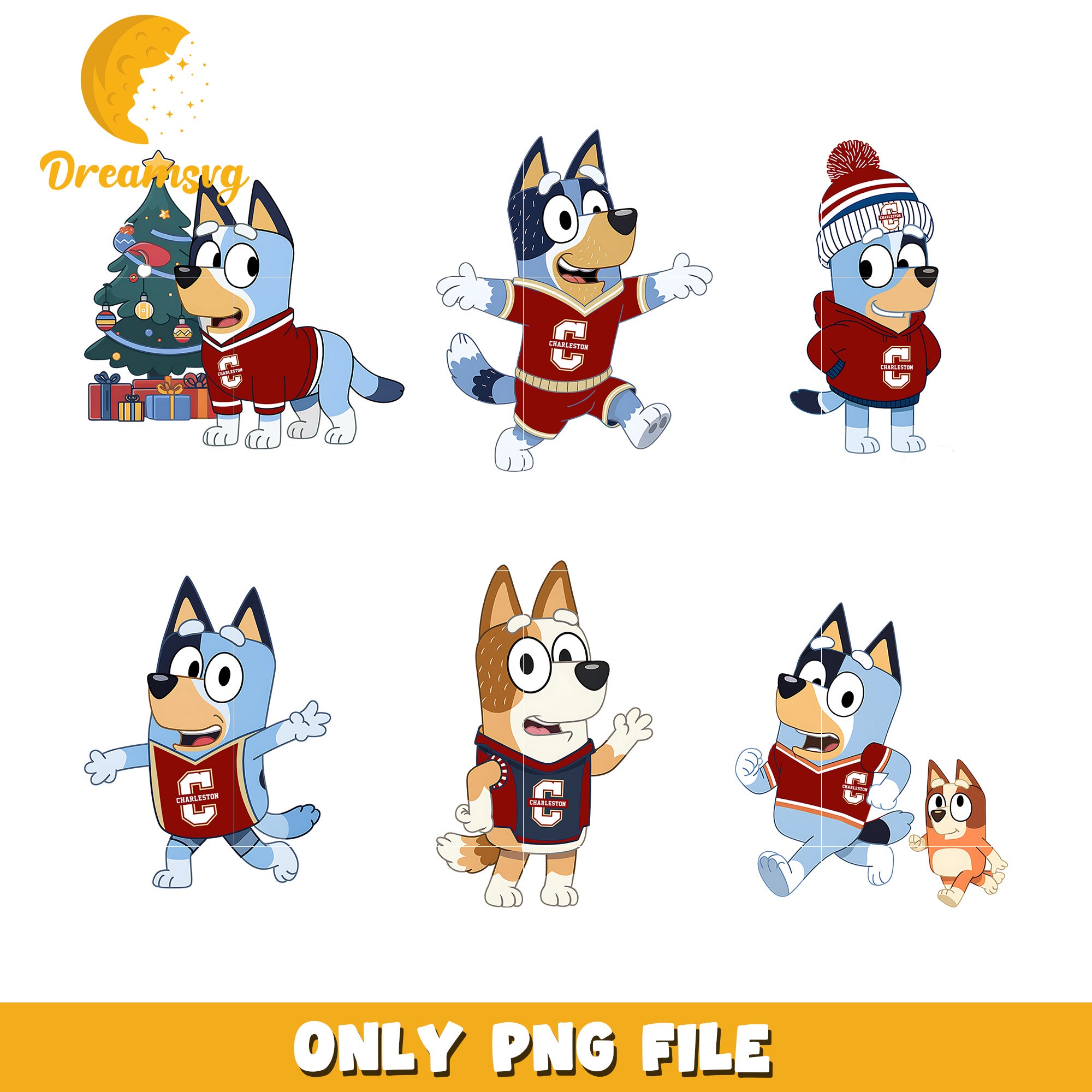 Bluey Bingo logo bundle png, College of Charleston Cougars png