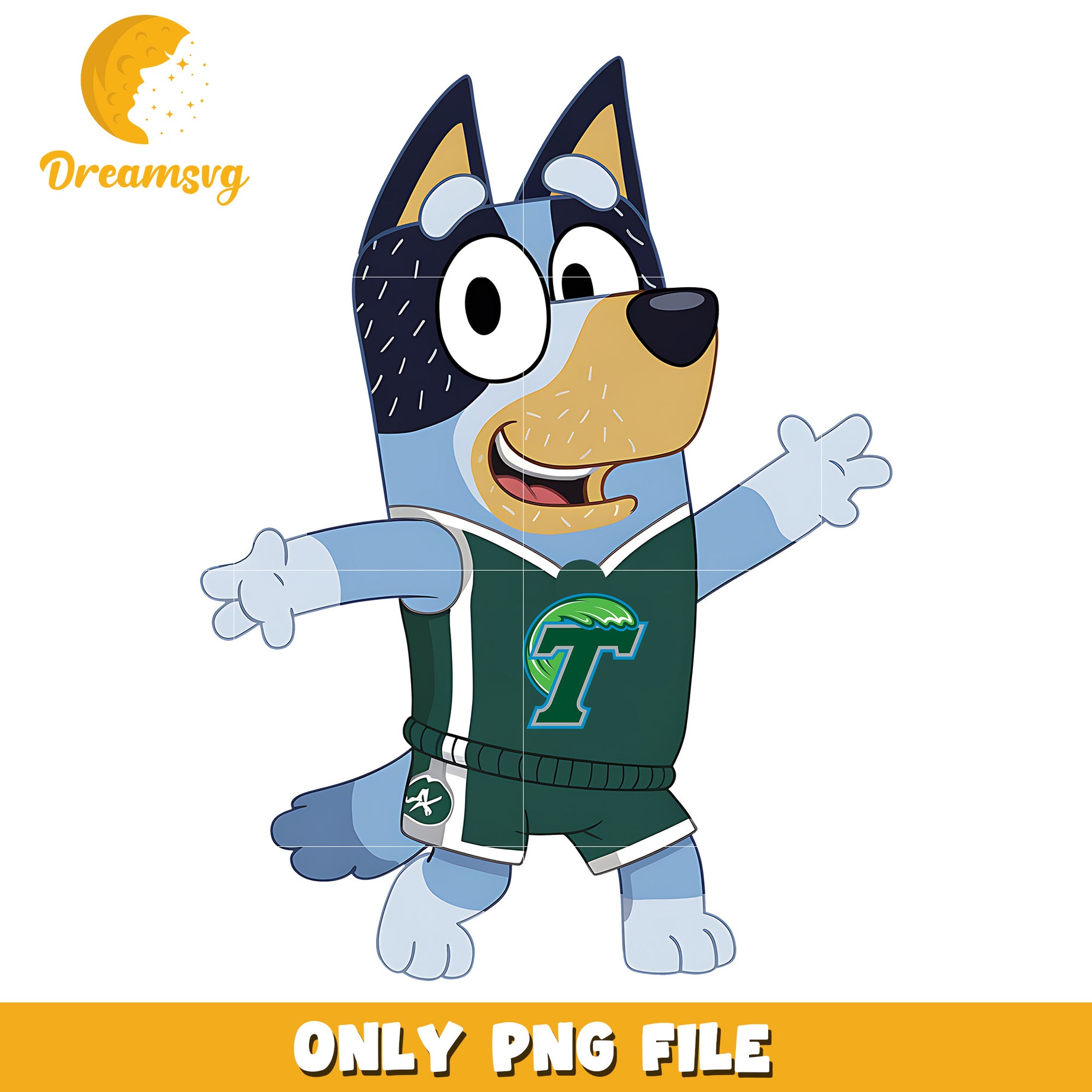 Bluey dad chearleader ncaa team png, Tulane Green Wave png