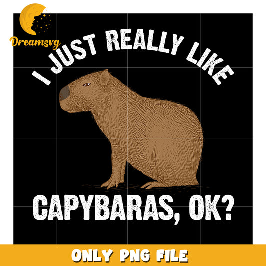 Capybara PNG I Just Really Like Capybaras OK