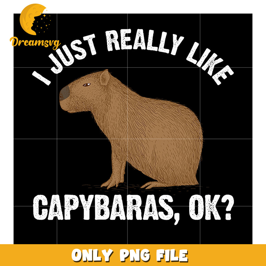 Capybara PNG I Just Really Like Capybaras OK