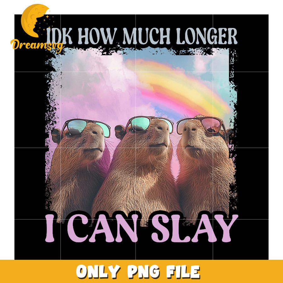 Capybara Slay PNG I Don't Know How Much Longer