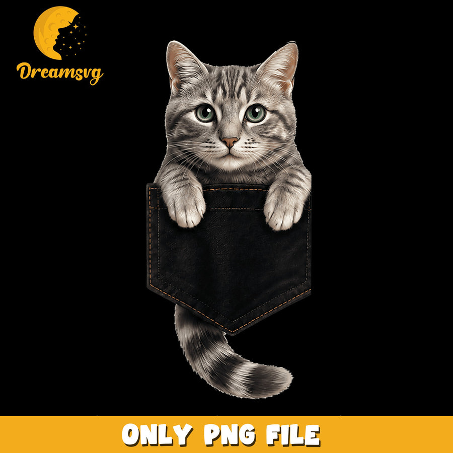 Cat In Pocket Tabby Kitten Sublimation PNG, Cat Lover, Funny PNG