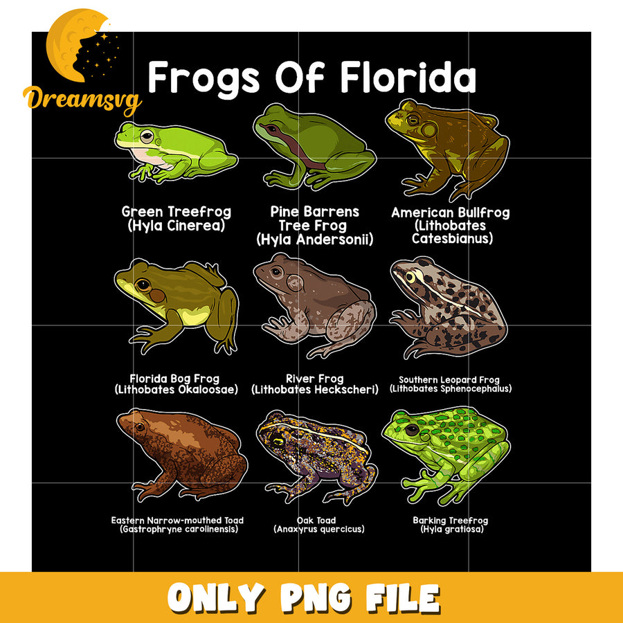Florida Frogs PNG 9 Species Clipart