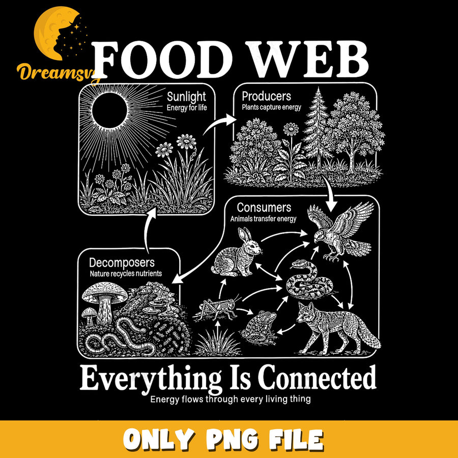 Food Web PNG, Ecosystem Design, Nature Connection PNG
