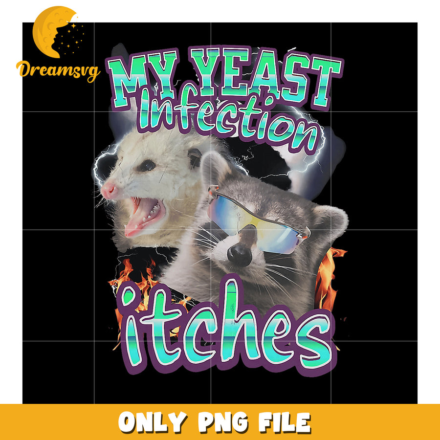 Funny Raccoon Possum Yeast Infection PNG