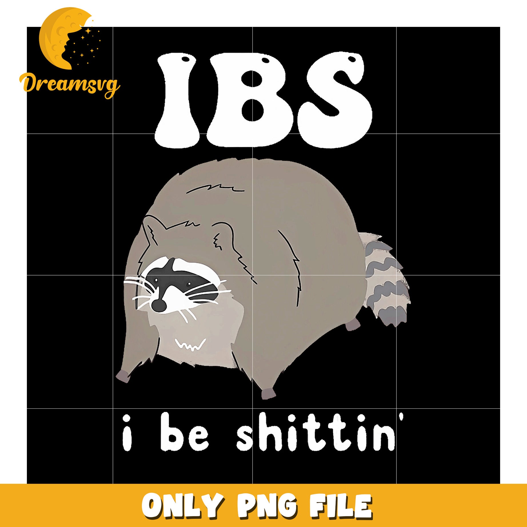 IBS Raccoon PNG Funny Graphic