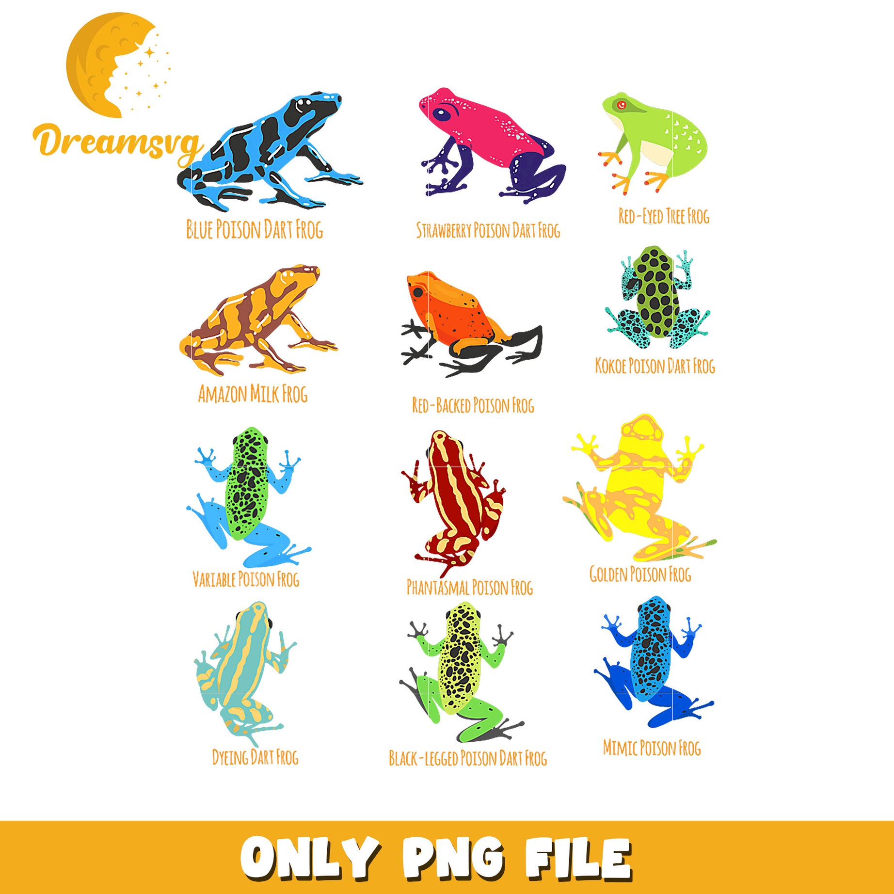 Poison Dart Frogs PNG 12 Frog Designs