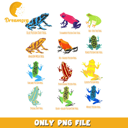 Poison Dart Frogs PNG 12 Frog Designs