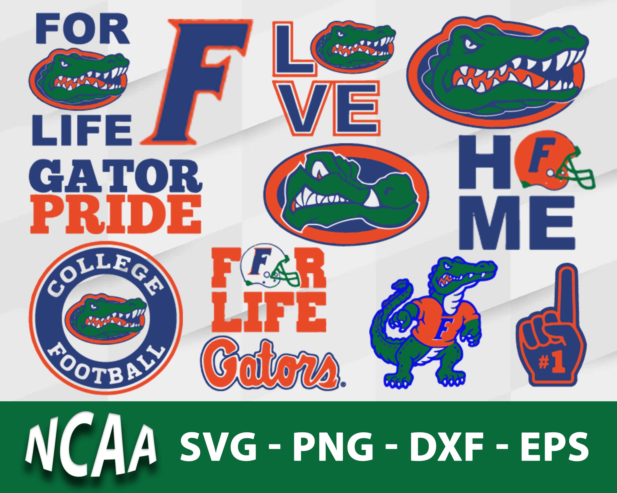 Florida Gators Svg Bundle, Florida Gators Svg, Sport Svg, Ncaa Svg, Pn ...